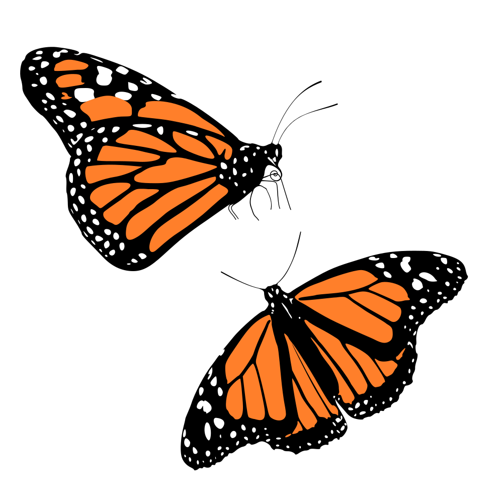 onlinelabels-clip-art-monarch-butterflies